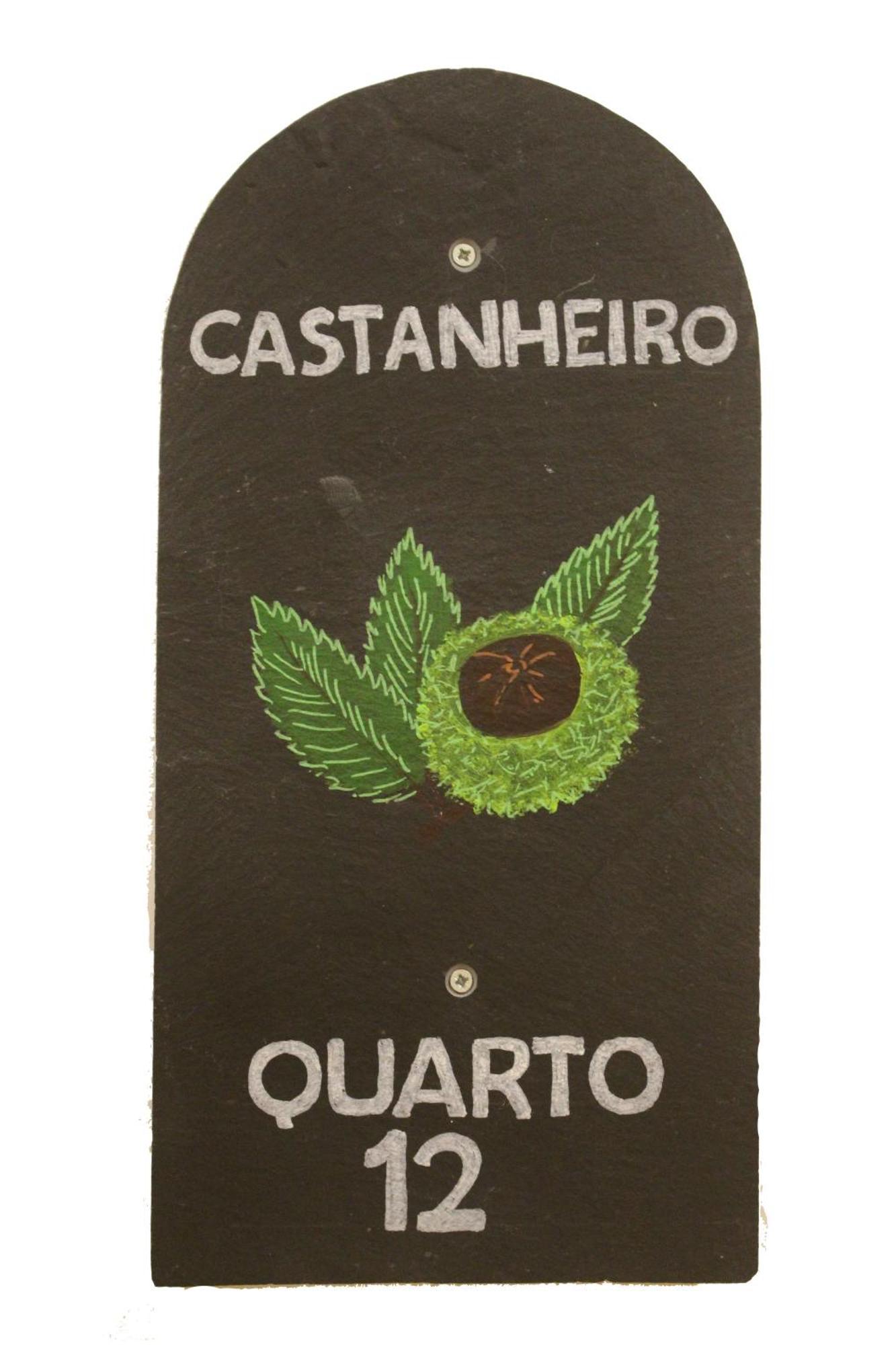 Casa De Campo Vale Do Ceira 戈伊什 外观 照片