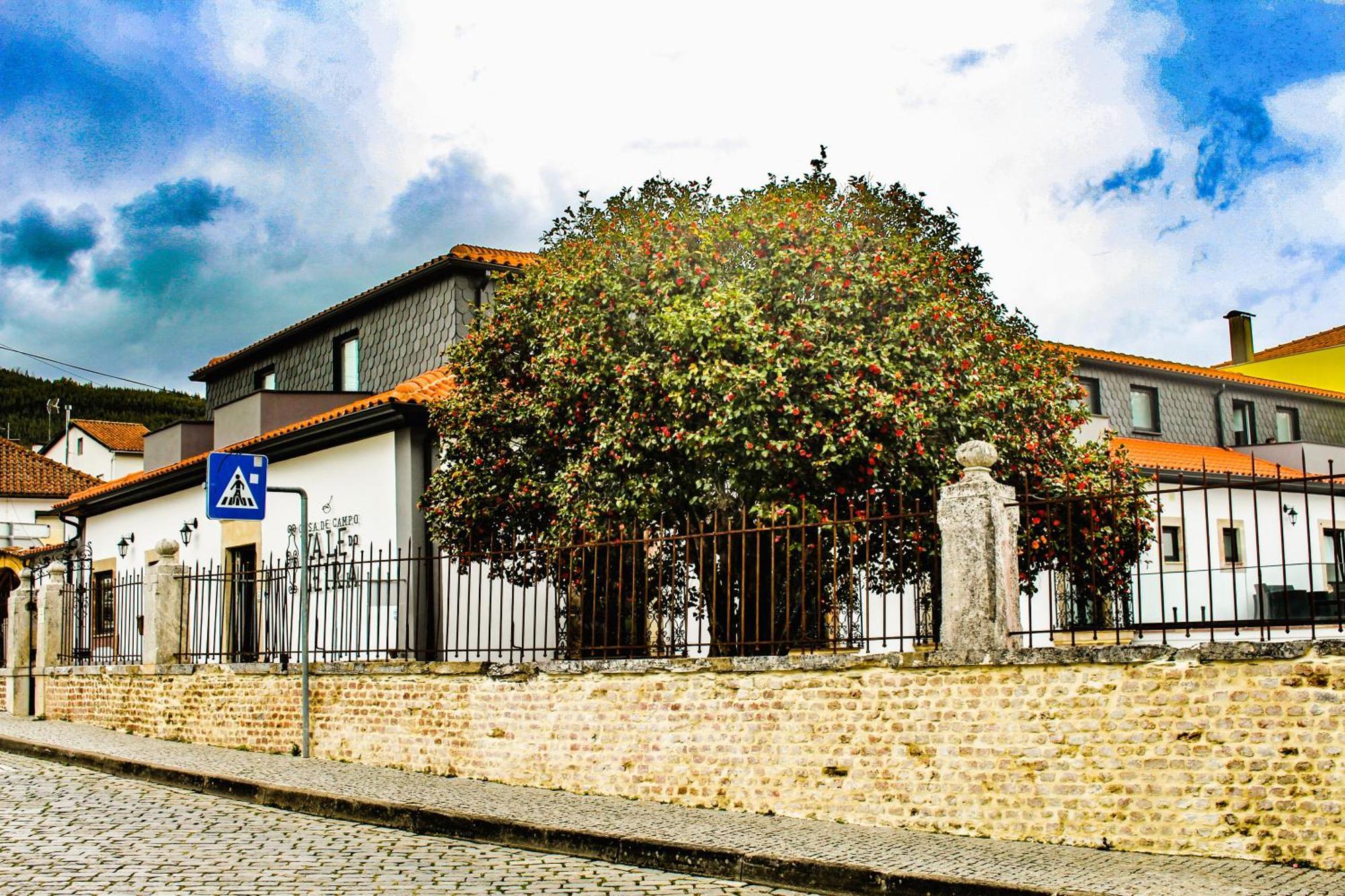 Casa De Campo Vale Do Ceira 戈伊什 外观 照片